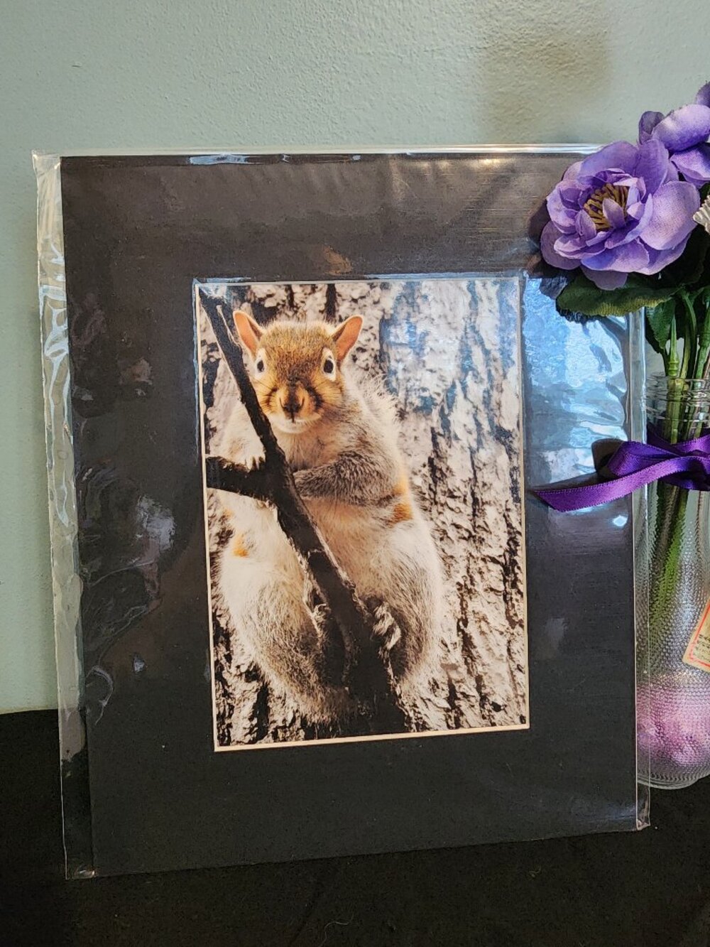 2/$13 Eastern Gray Squirrel Photography Print with Black Matte Frame - 8x10